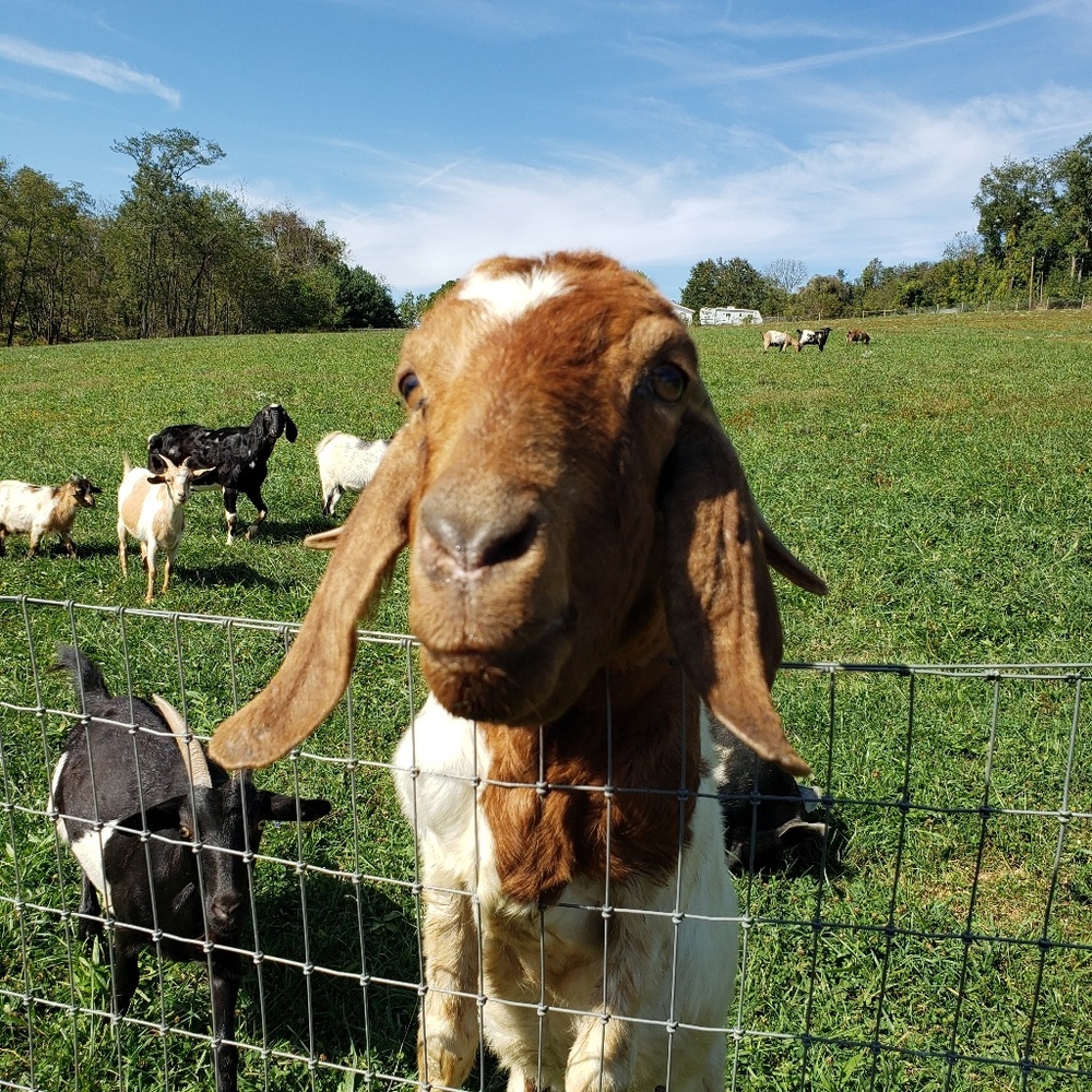 Meet your Posher, Kathleen